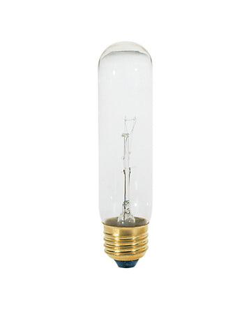 40 Watt  120V Incandescent Tubular Light Bulb Clear