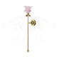 Coupette Sconce